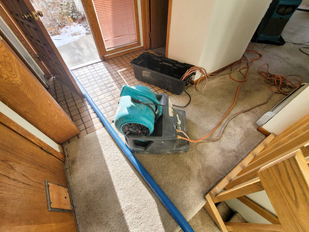 Best Basement water damage restoration  in Lewisburg, WV