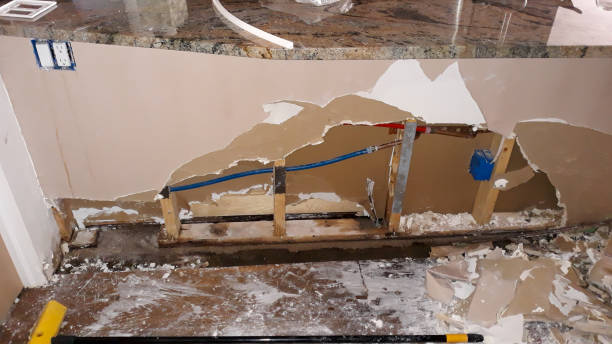 Best Flood damage cleanup  in Lewisburg, WV