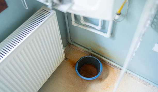 Best Fire Damage Restoration  in Lewisburg, WV
