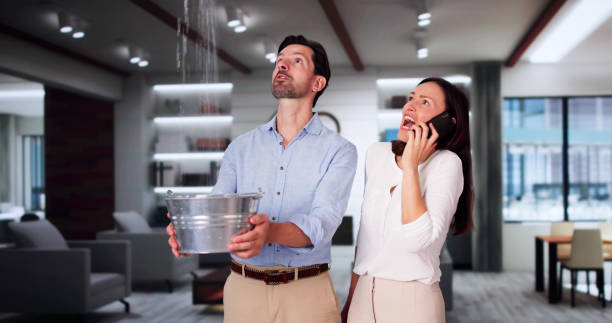 Best Fire Damage Restoration  in Lewisburg, WV