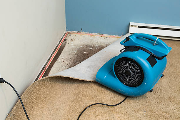 Best 24-hour water damage restoration  in Lewisburg, WV
